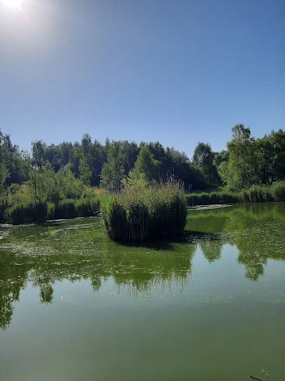 Dolina Lipinki (Ajska)