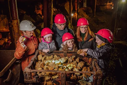 Kopalnia Zabytkowa Rud Srebronośnych (Tarnowskie Góry)